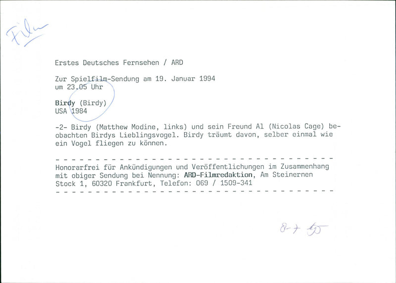 Birdy - Vintage Photograph