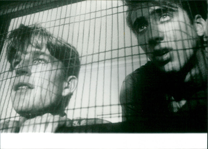 Birdy - Vintage Photograph