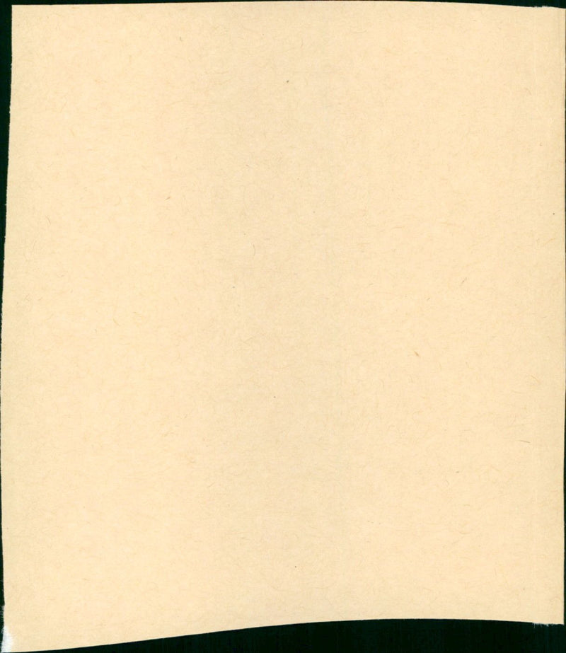 Le grand escogriffe - Vintage Photograph