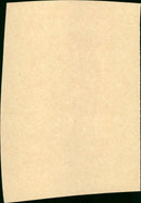 Big - Vintage Photograph