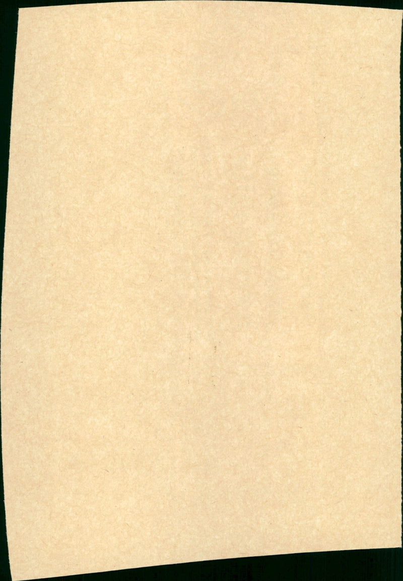 Big - Vintage Photograph