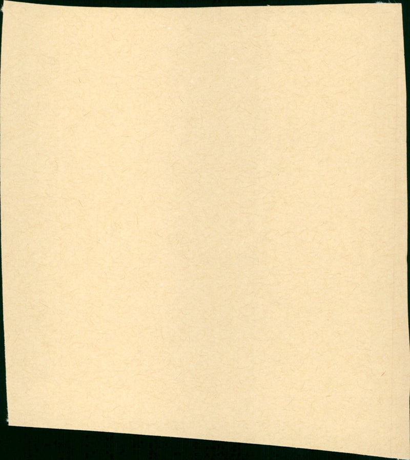 Tribute to a Bad Man - Vintage Photograph