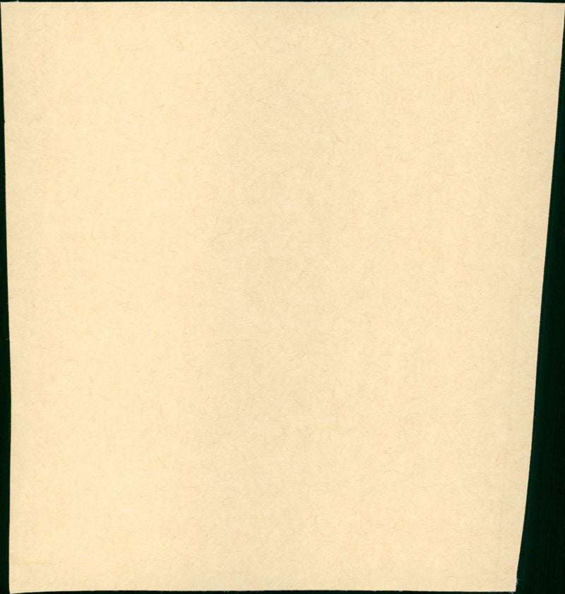 Treasure Island - Vintage Photograph