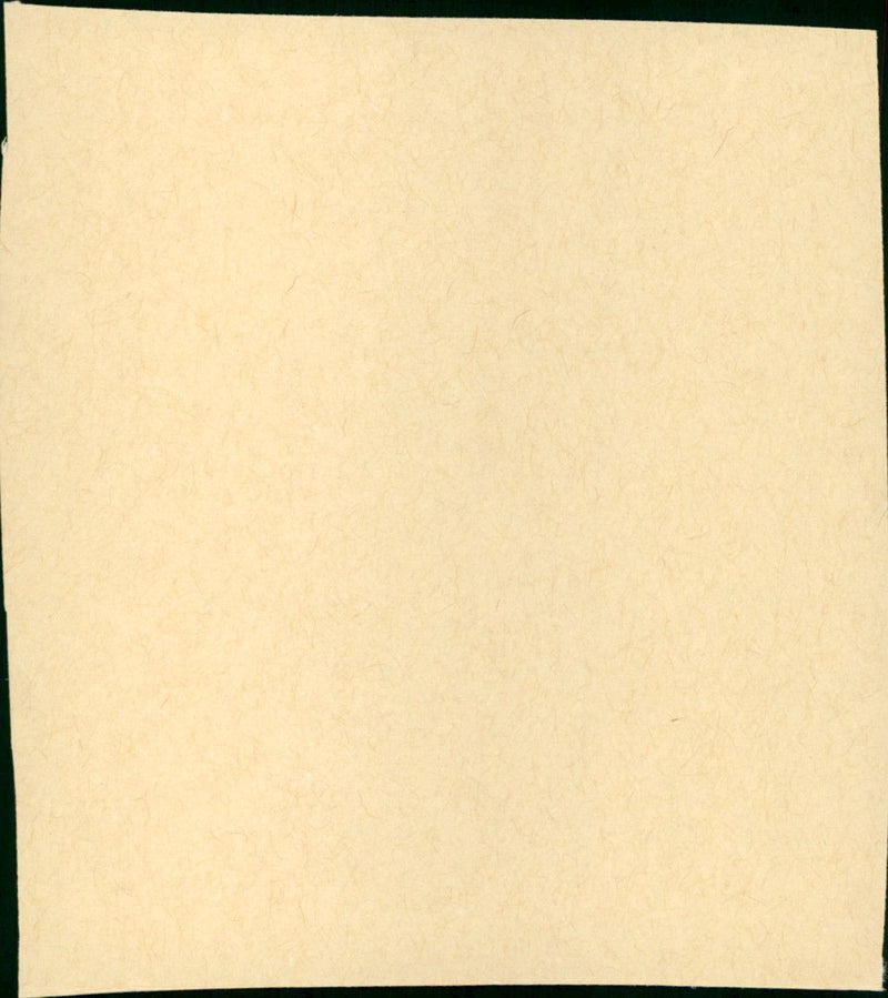 The Triple Echo - Vintage Photograph