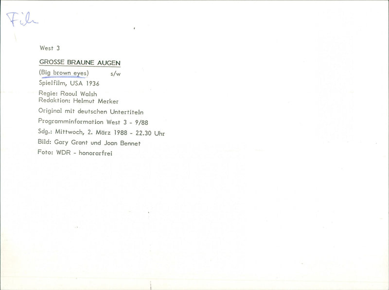 Big Brown Eyes - Vintage Photograph