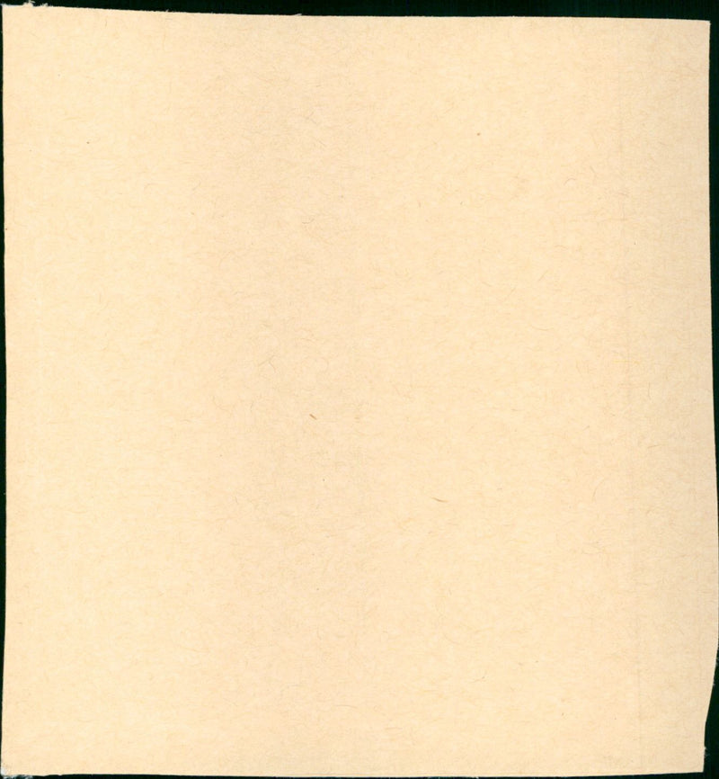 Tricks of the Trade - Vintage Photograph