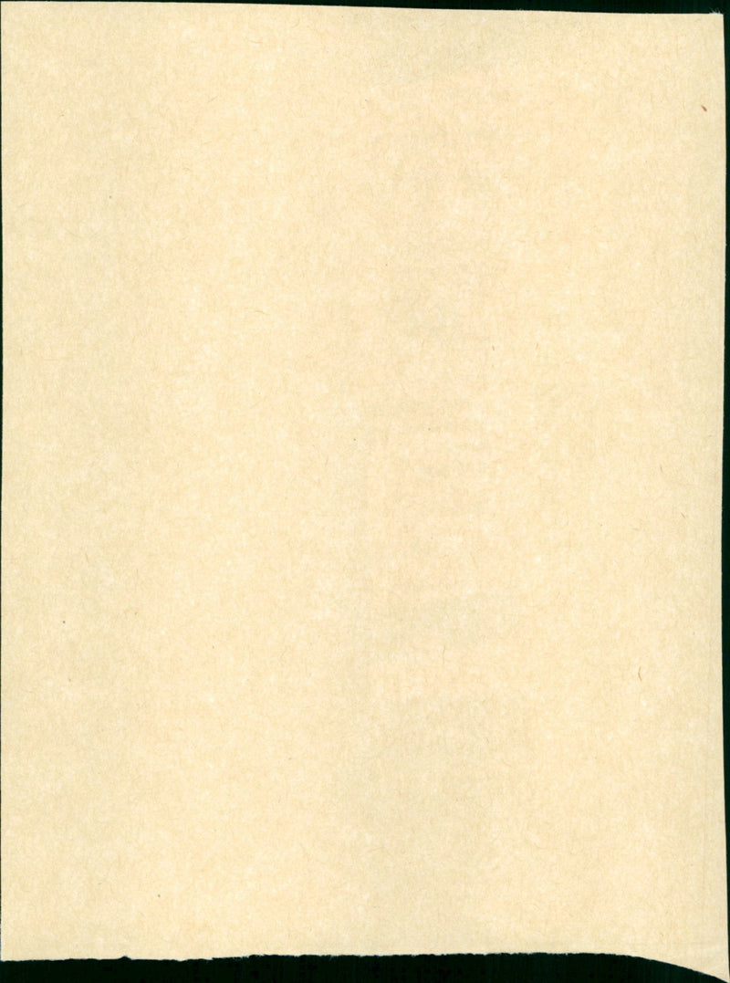 Troetelbeertjes - Vintage Photograph