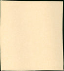 Treasure of Matecumbe - Vintage Photograph