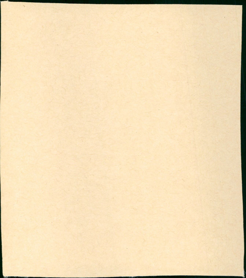 Treasure of Matecumbe - Vintage Photograph