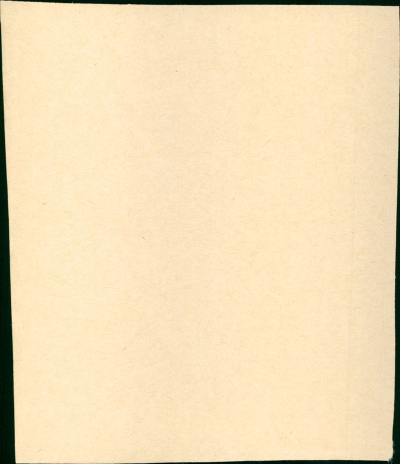 Tristana - Vintage Photograph