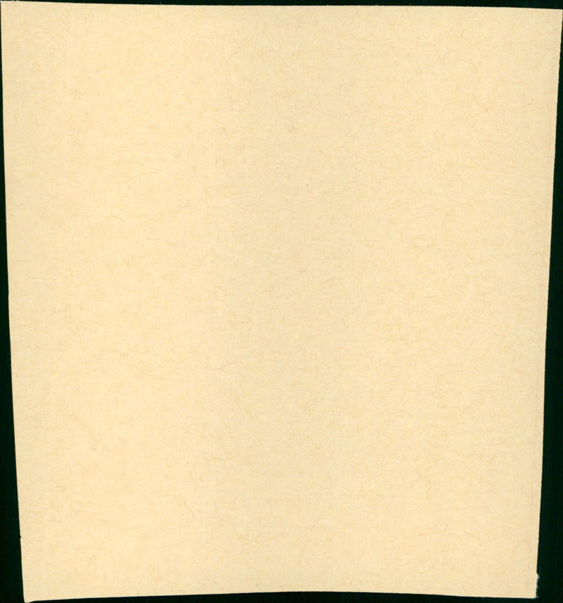 Die Trapp-Familie - Vintage Photograph