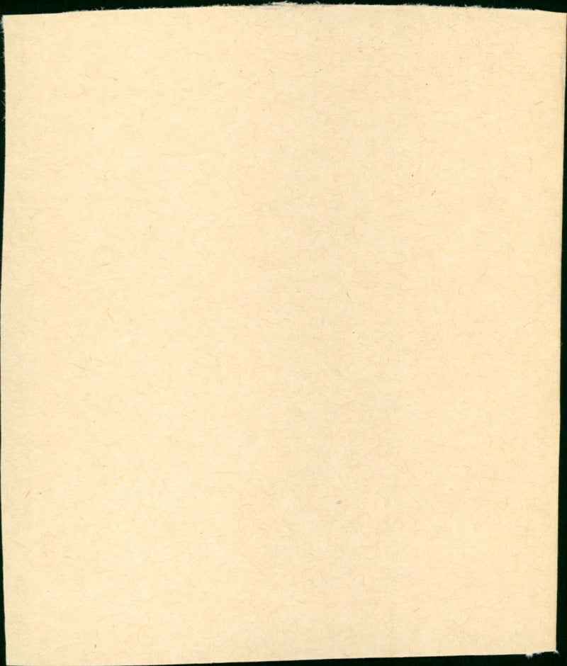 Big Brown Eyes - Vintage Photograph