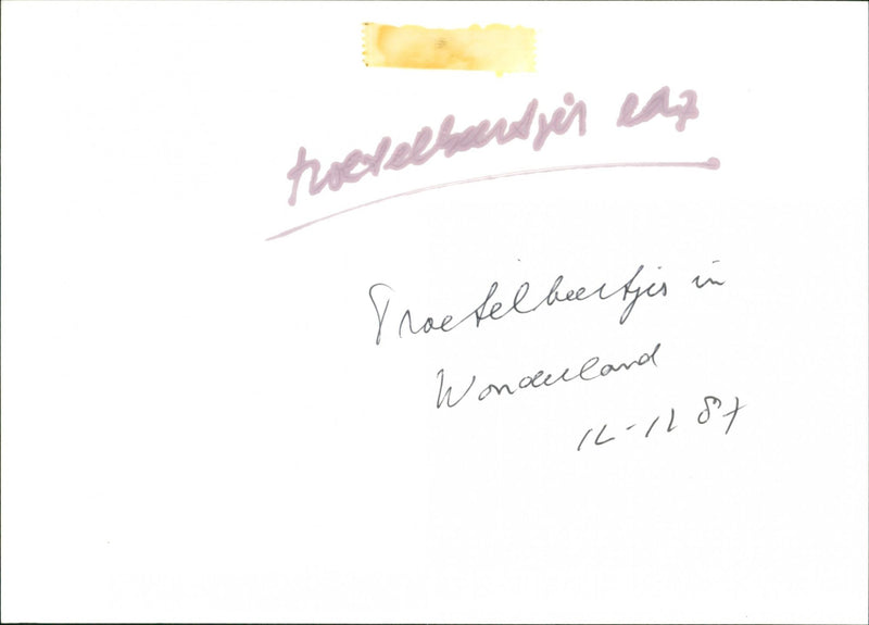 Troetelbeertjes - Vintage Photograph