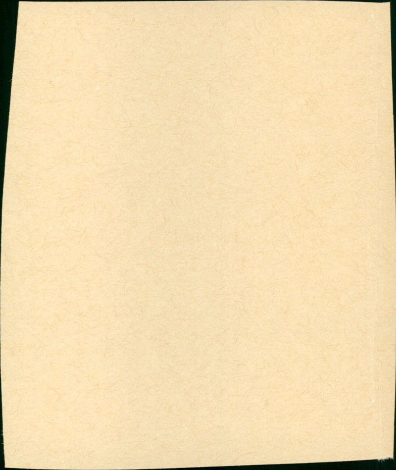 Dopa la tempesta - Vintage Photograph