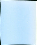 The Grey Fox - Vintage Photograph