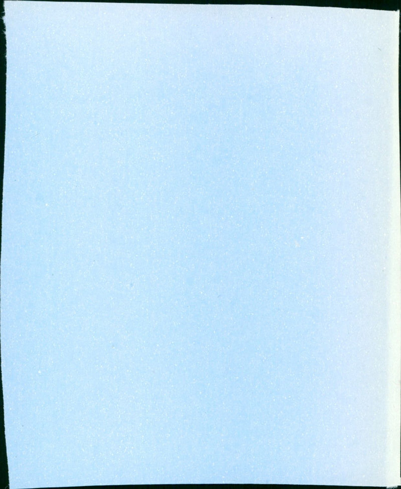 The Grey Fox - Vintage Photograph