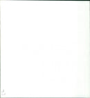 Griffin and phoenix - Vintage Photograph