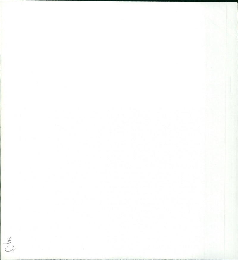 Griffin and phoenix - Vintage Photograph