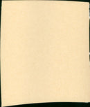 Bird - Vintage Photograph