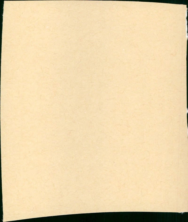 Bird - Vintage Photograph