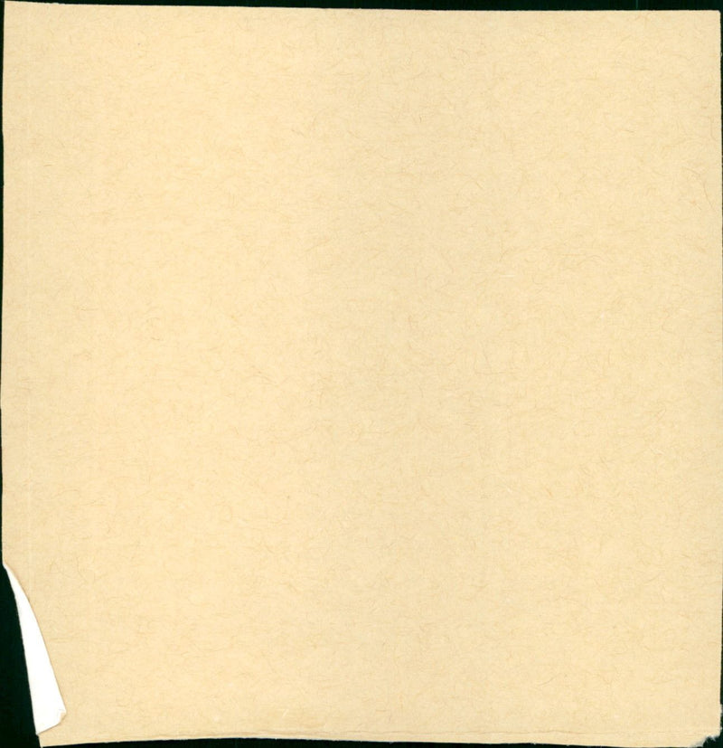 Treacherous Beauties - Vintage Photograph