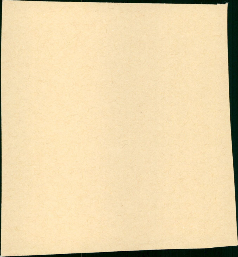 Le troie - Vintage Photograph