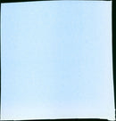 Trouble maker - Vintage Photograph