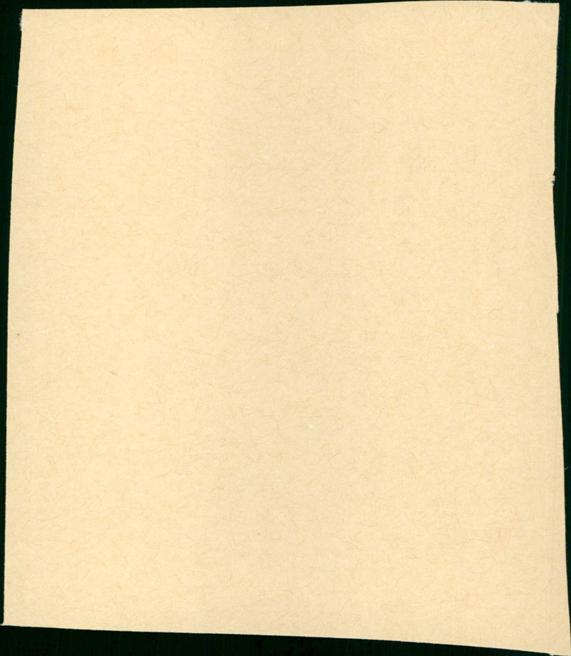 True Grit - Vintage Photograph