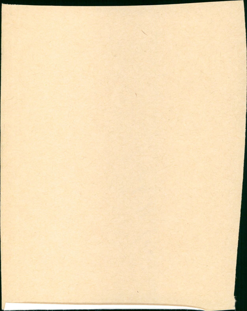 The Big Combo - Vintage Photograph