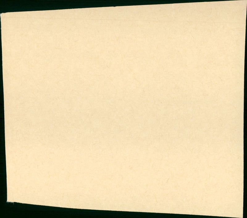 True Identity - Vintage Photograph