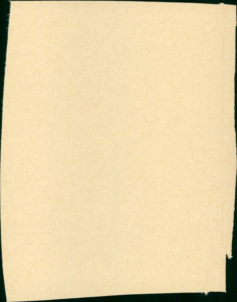 The Groundstar Conspiracy - Vintage Photograph