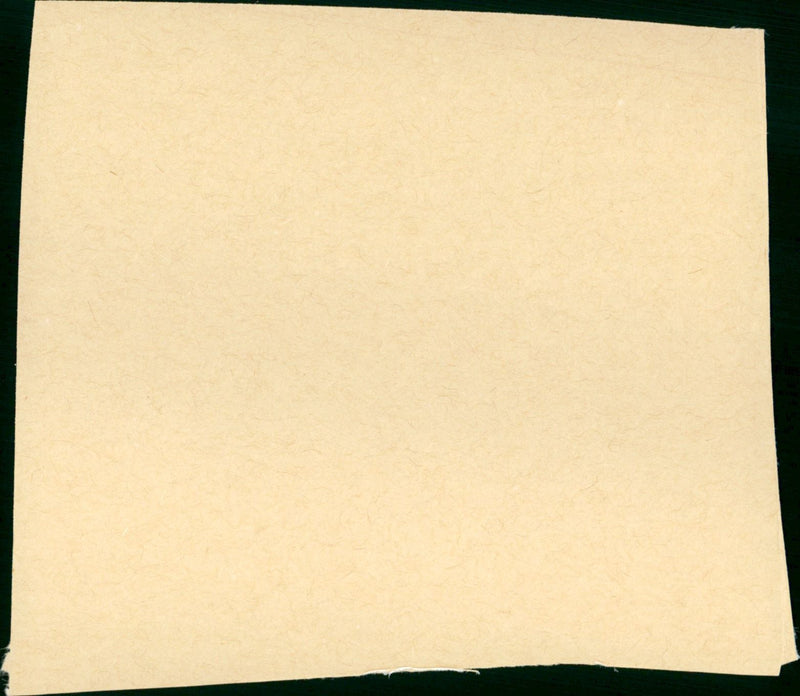 The Ugly American - Vintage Photograph