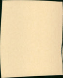 The Group - Vintage Photograph