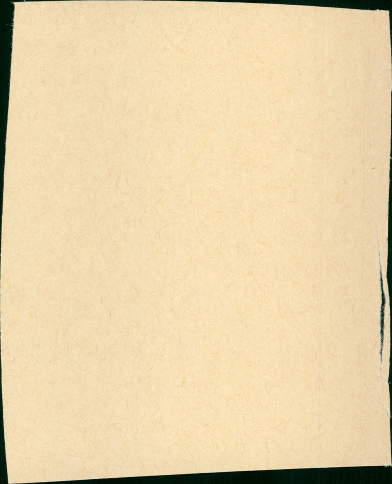 The Group - Vintage Photograph