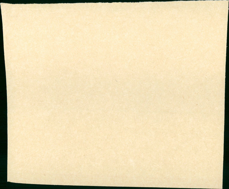 Troops of Yesteryear - Vintage Photograph