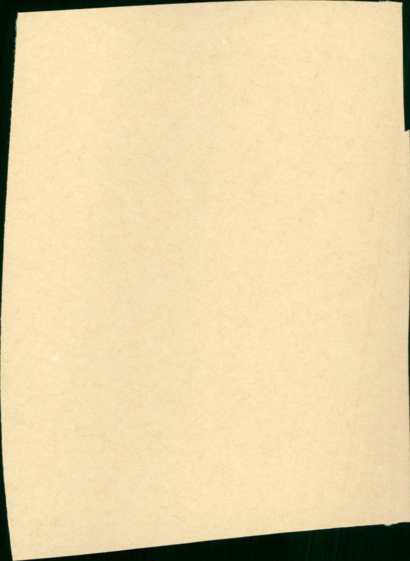 The Big Fix - Vintage Photograph