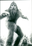 Bigfoot - Vintage Photograph