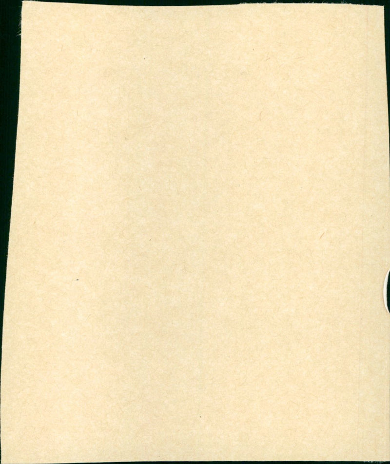 Grün ist die Heide - Vintage Photograph