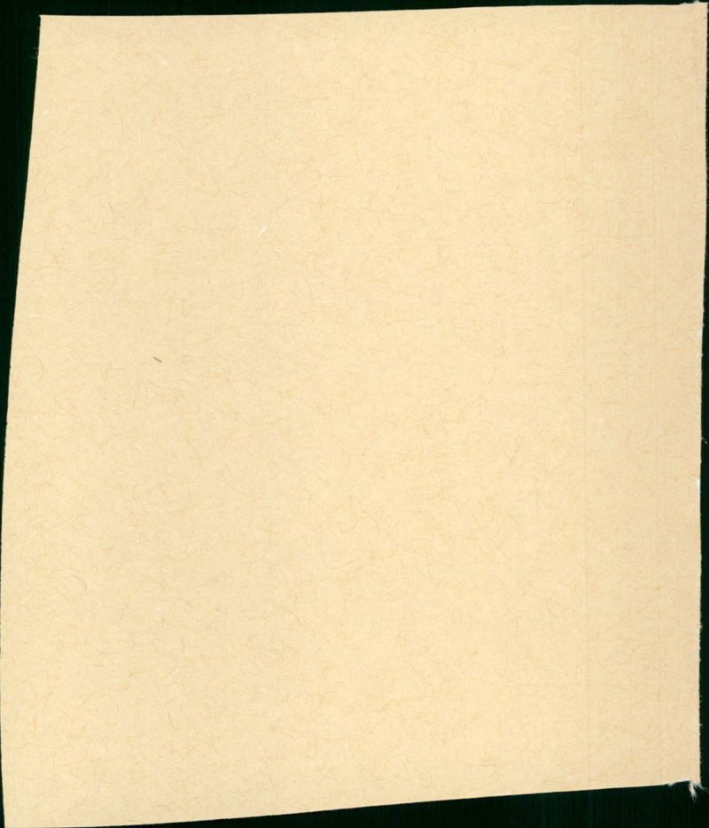 Double Identity - Vintage Photograph