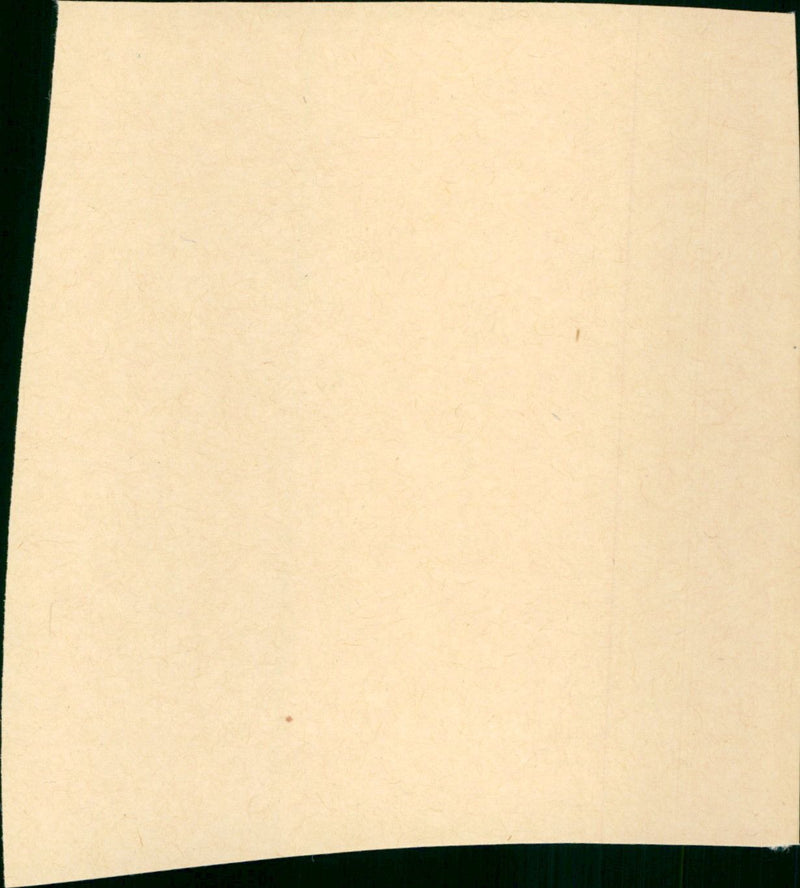 Bigfoot - Vintage Photograph