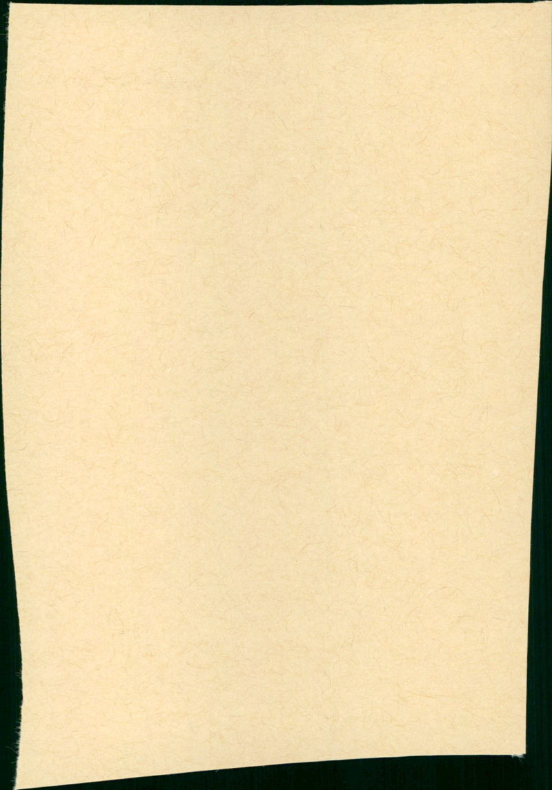 Grün ist die Heide - Vintage Photograph