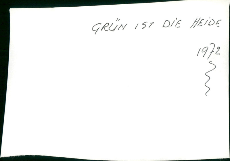 Grün ist die Heide - Vintage Photograph