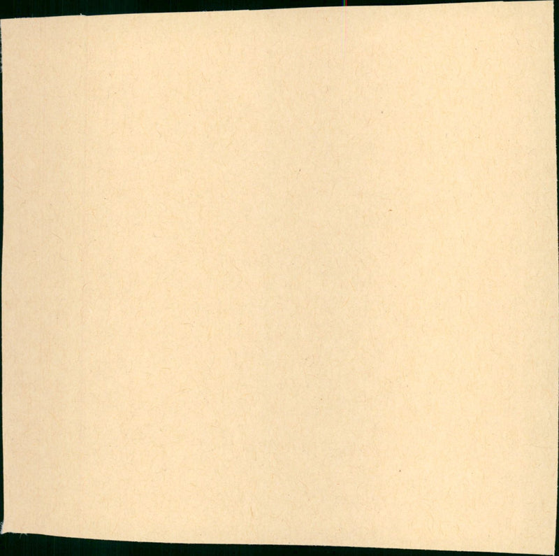 Trouble in Mind - Vintage Photograph