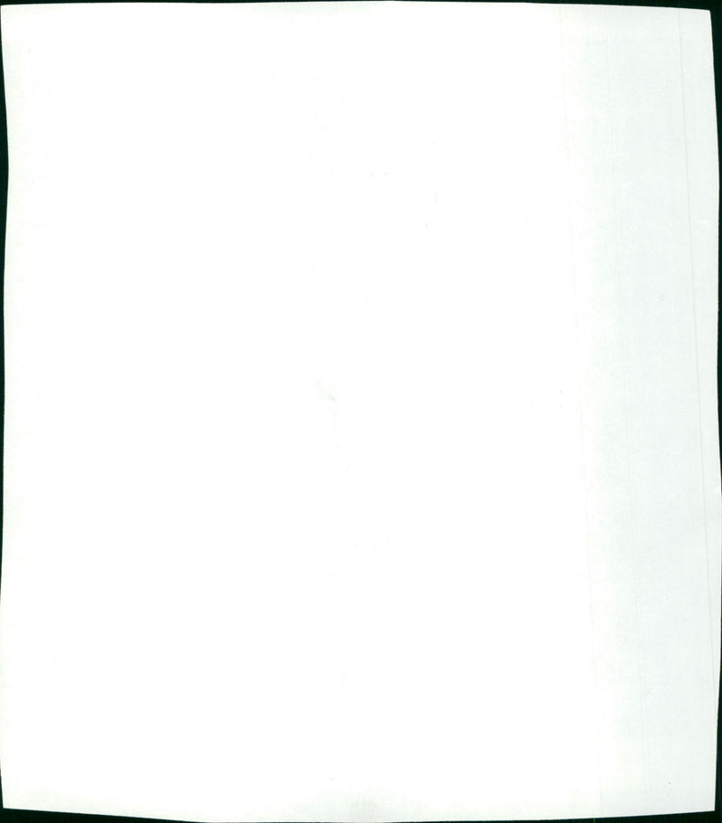 Double Take - Vintage Photograph