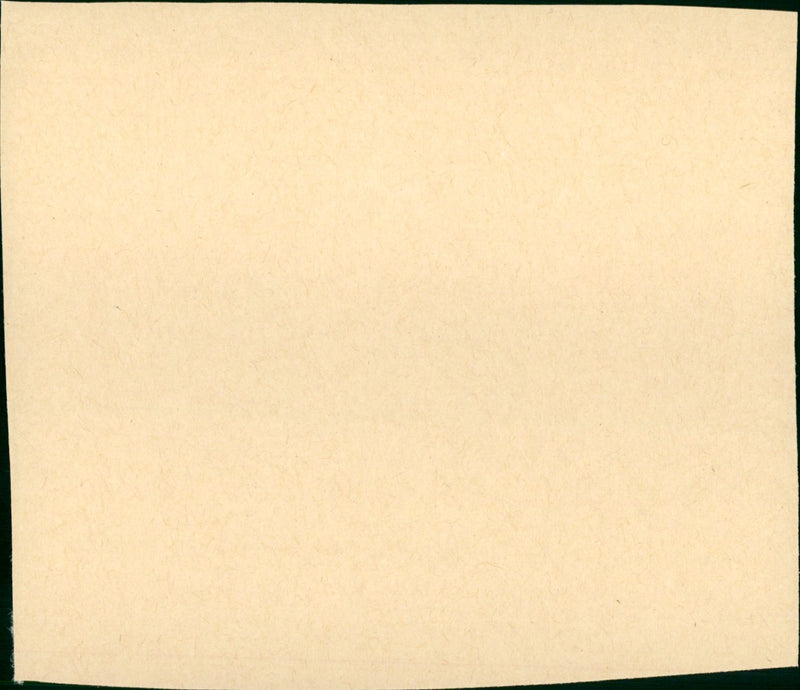 Trouble in Paradise - Vintage Photograph