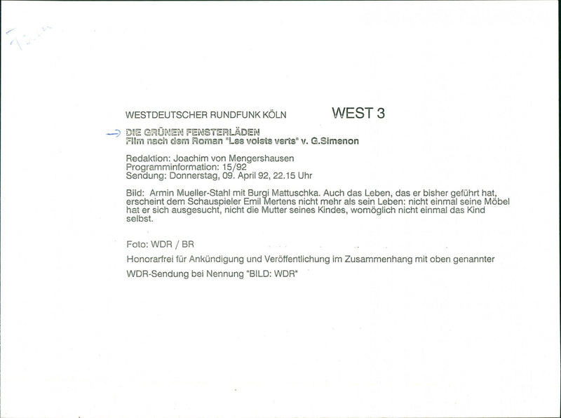 Die grünen Fensterläden - Vintage Photograph