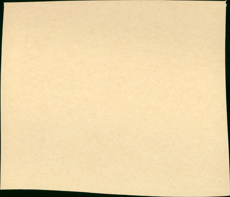 Double Deception - Vintage Photograph