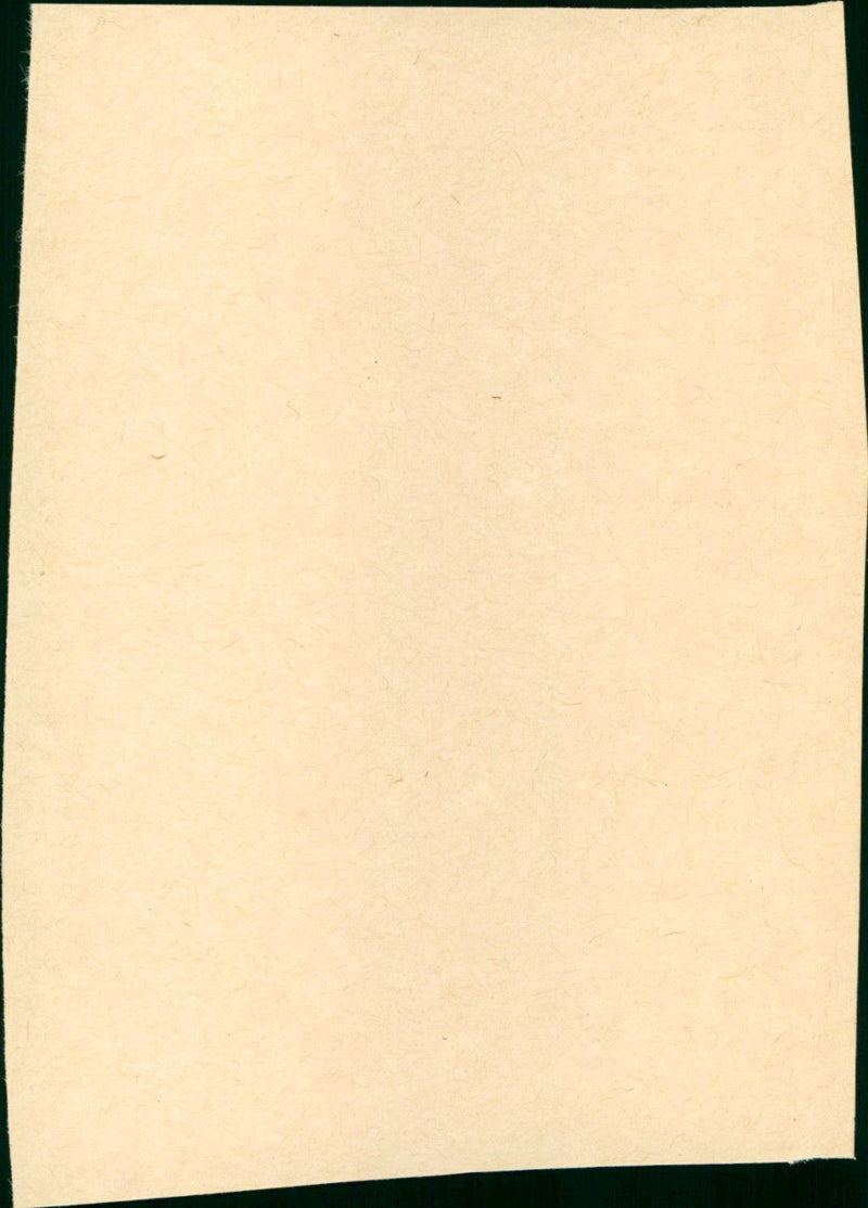 die grünen fensterläden - Vintage Photograph