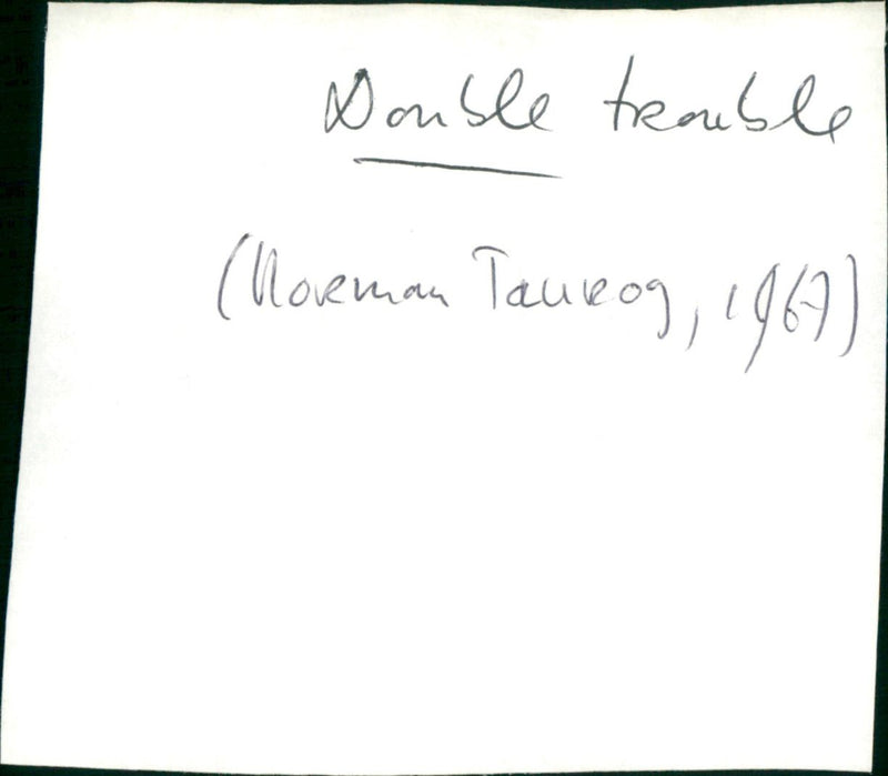 Double Trouble - Vintage Photograph