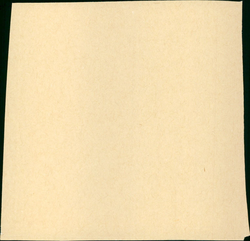 The Tin Star - Vintage Photograph